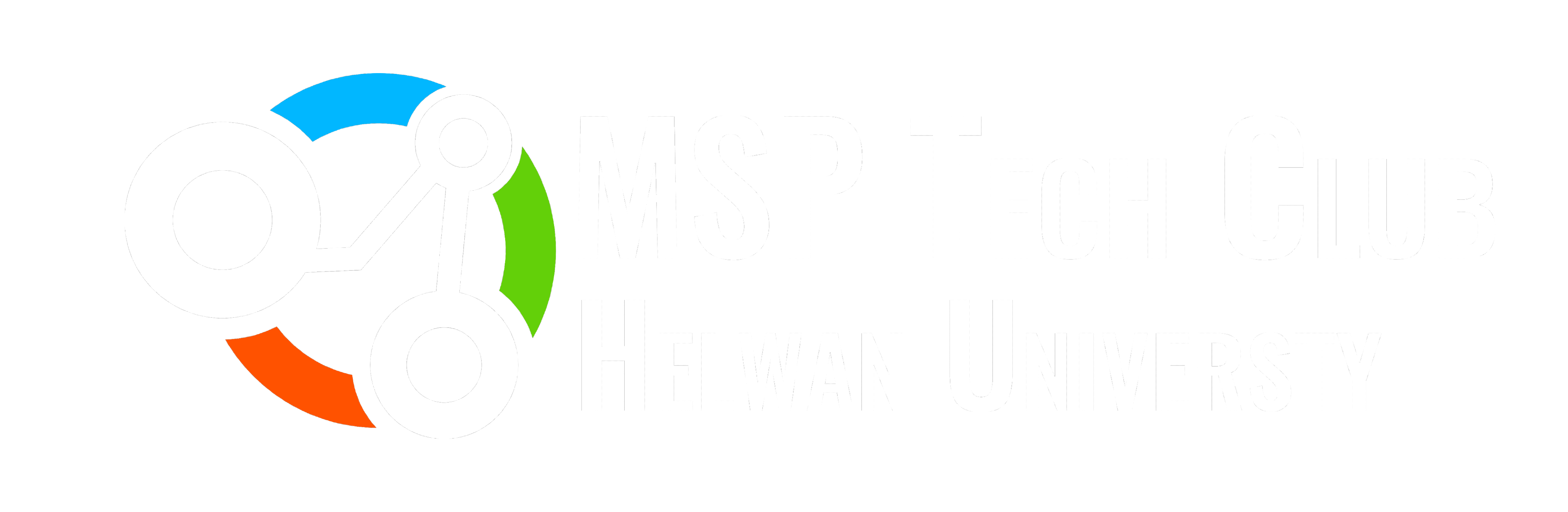 MSP-Helwan University